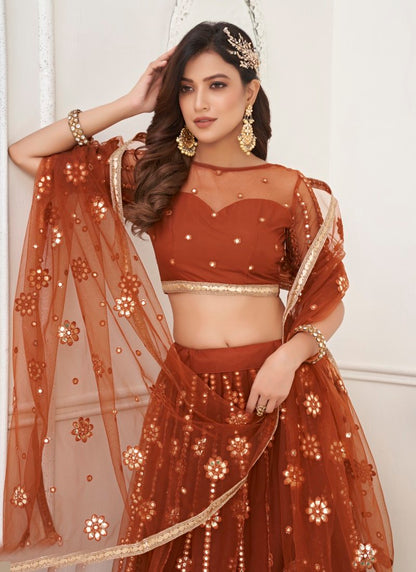 Brown Net Lehenga Choli With Thread, Mirror and Sequins Work